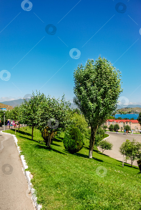 Скачать Живописная парковая дорожка с пышными деревьями и ясным голубым небом фотосток Ozero