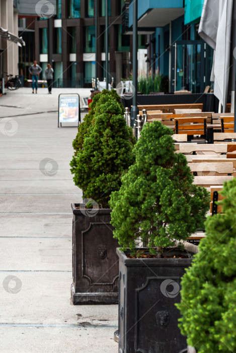 Скачать Городское кафе на открытом воздухе с зелеными кустами на городском тротуаре фотосток Ozero