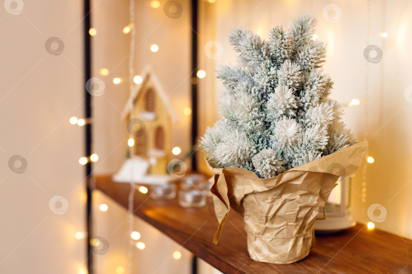 Скачать маленькая рождественская елка в горшке, завернутая в крафтовую бумагу фотосток Ozero