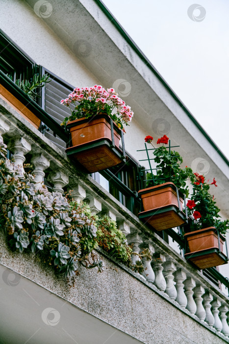 Скачать Украшенный цветами и растениями в горшках балкон в дизайне экстерьера жилого дома фотосток Ozero