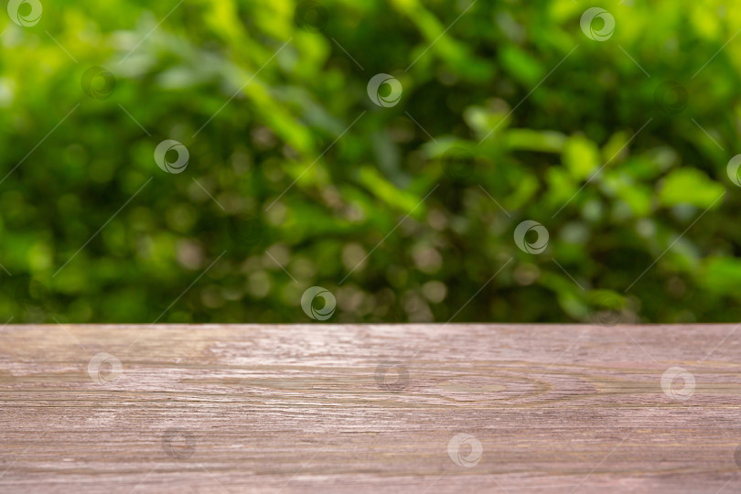 Скачать столешницы или полки на фоне листьев. При установке акцент делается на полку на переднем плане и размещении продукта. фотосток Ozero