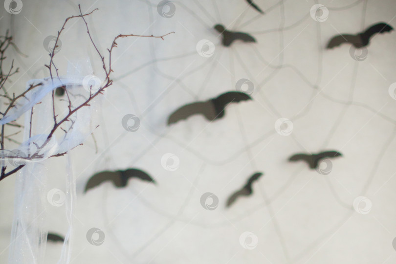 Скачать Фон для праздника Хэллоуин. Фигурки летучих мышей из бумаги. Паутина на стене. Сухие ветки деревьев фотосток Ozero