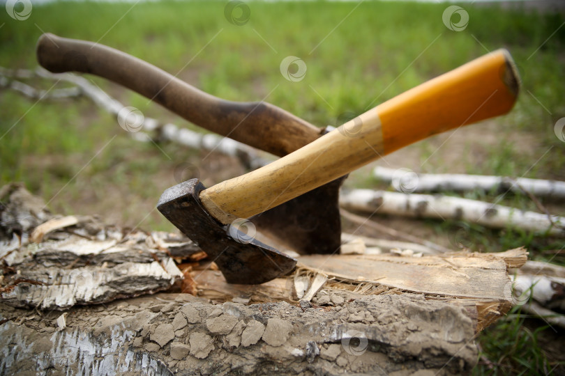 Скачать два походных топора, воткнутых в дерево фотосток Ozero