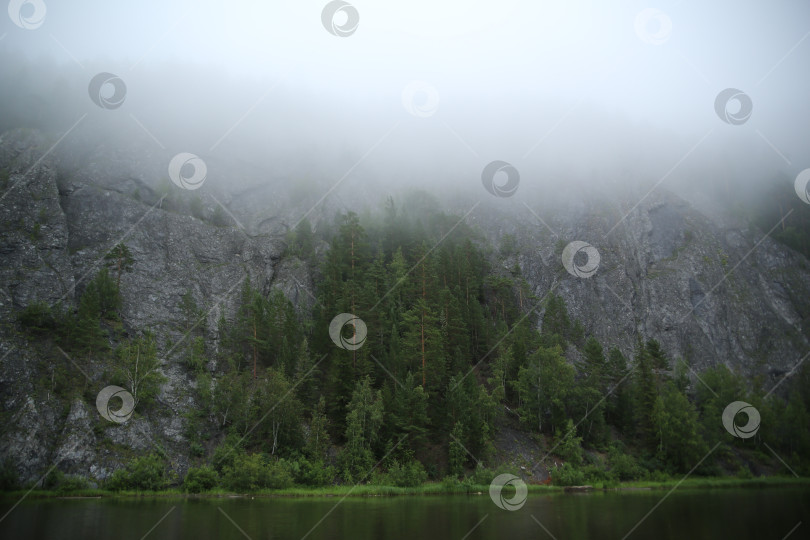 Скачать лес и скалы в утреннем тумане фотосток Ozero