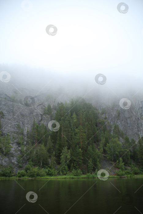 Скачать лес и скалы в утреннем тумане фотосток Ozero