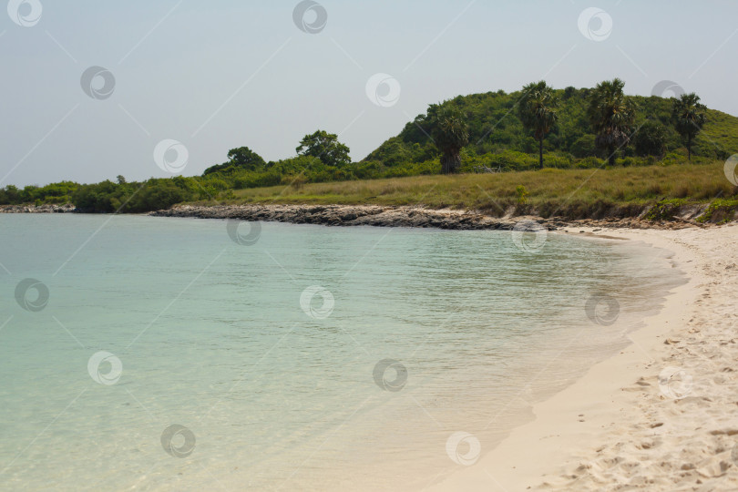 Скачать Пляж с растениями и пальмами. Волны и пена на морском берегу фотосток Ozero