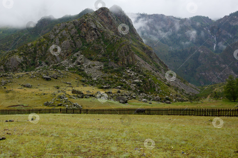 Скачать скала, окутанная туманом, покрытая зеленой травой фотосток Ozero