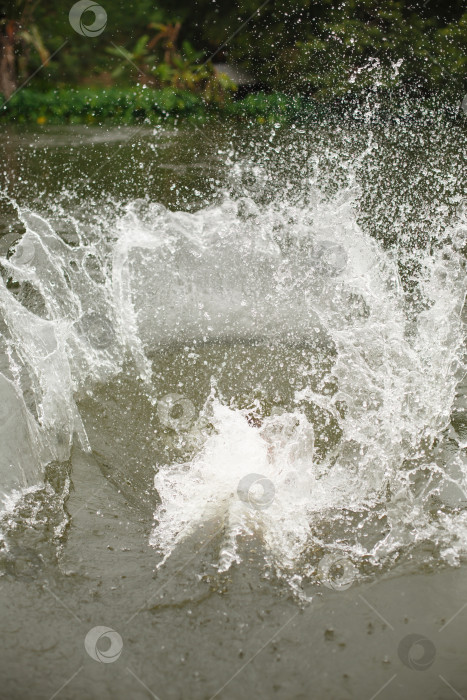 Скачать Плещущаяся вода в реке или озере фотосток Ozero