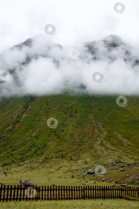 Скачать скала, окутанная туманом, покрытая зеленой травой фотосток Ozero