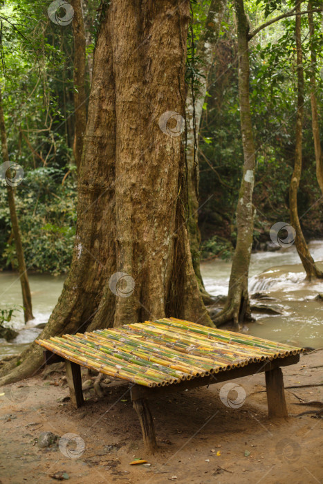 Скачать Скамейка из бамбуковых стеблей в тропическом лесу на берегу реки фотосток Ozero