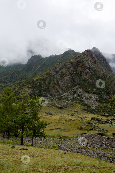Скачать скала, окутанная туманом, покрытая зеленой травой фотосток Ozero