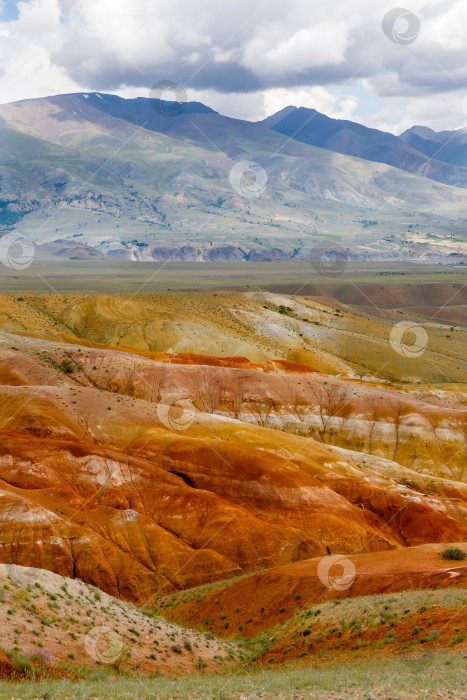 Скачать Пейзажи Горного Алтая. Долина Марса. Горы Сибири фотосток Ozero