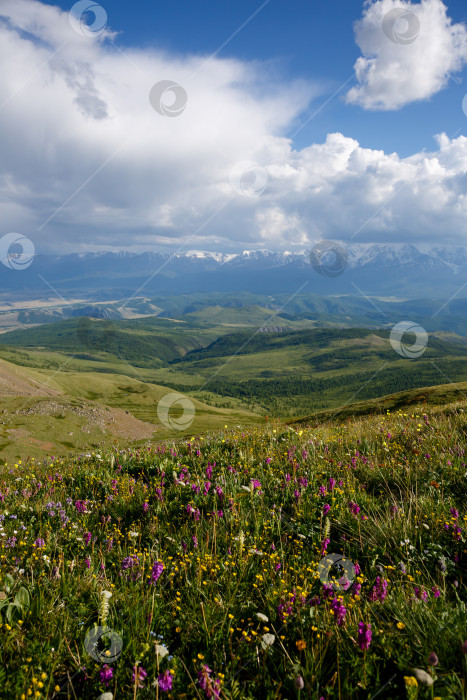 Скачать Пейзаж. Облака над горами и холмами, цветочные поляны фотосток Ozero