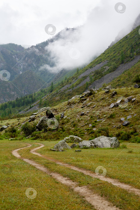Скачать дорога ведет к скалам, окутанным туманом фотосток Ozero