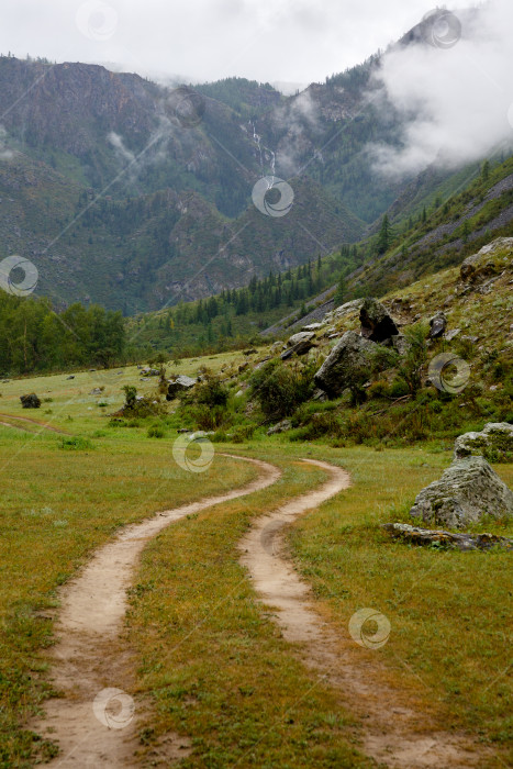 Скачать дорога ведет к скалам, окутанным туманом фотосток Ozero
