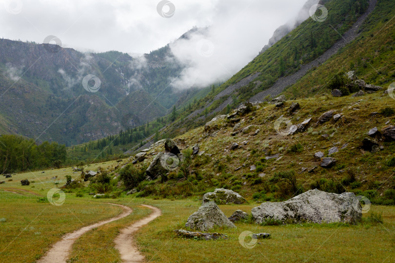 Скачать дорога ведет к скалам, окутанным туманом фотосток Ozero