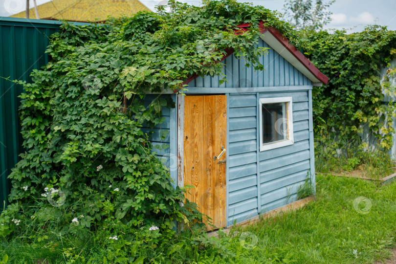 Скачать небольшой загородный домик с травой, растущей на крыше фотосток Ozero