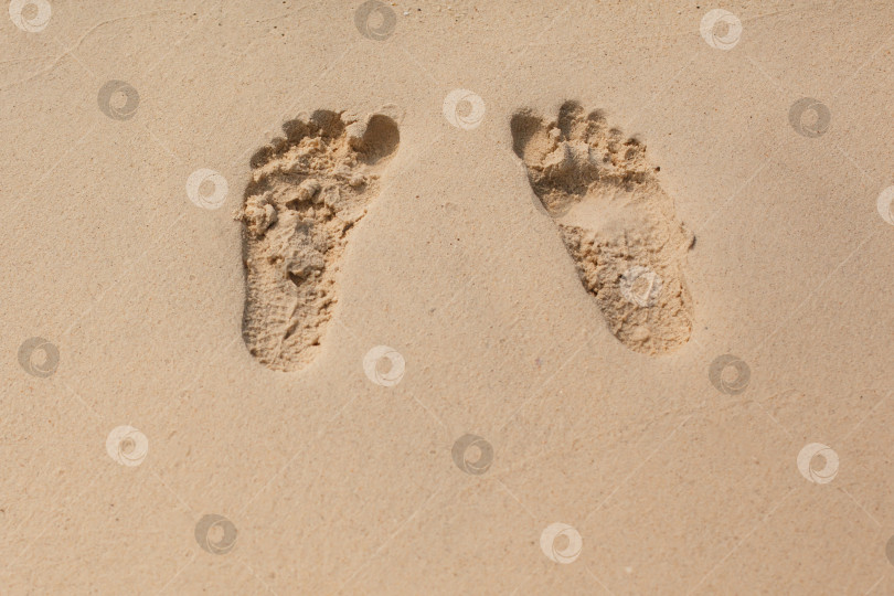 Скачать Естественная текстура и фон. Отпечатки ног на желтом песке на пляже фотосток Ozero