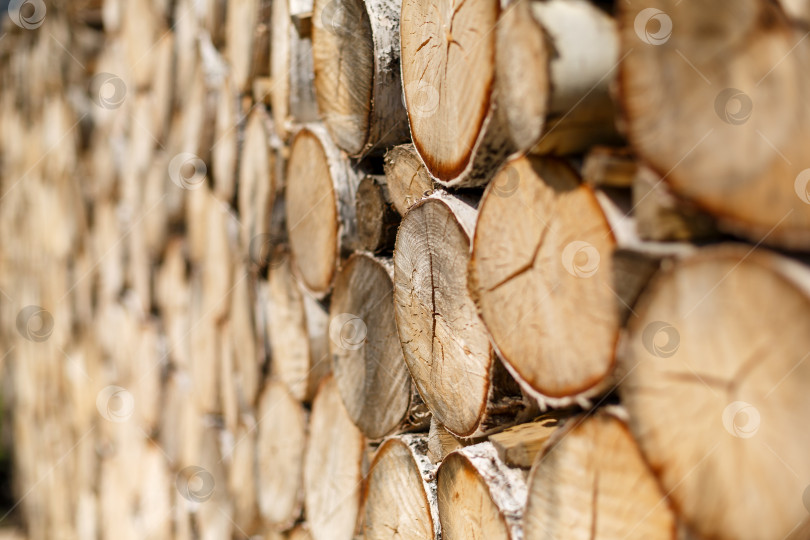 Скачать стенка из гладких круглых профилей березы фотосток Ozero