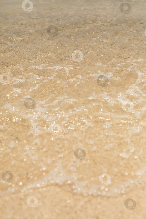 Скачать Солнечные блики на воде. Песчаное дно. Волны и пена на морском берегу фотосток Ozero