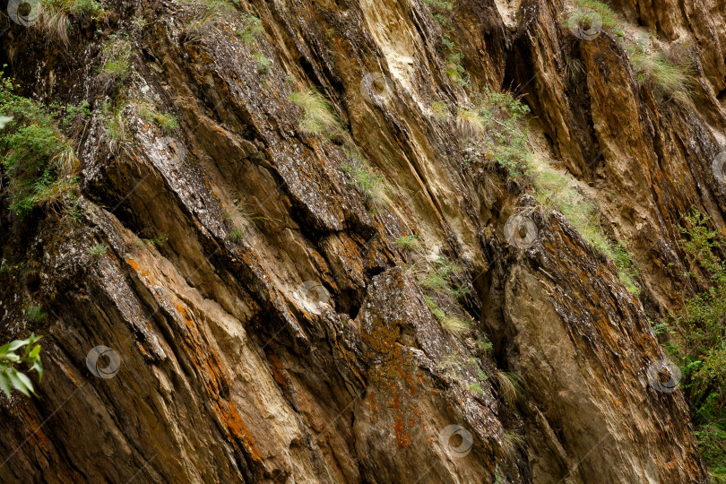 Скачать Естественная текстура. Скала из желтого потрескавшегося песчаника фотосток Ozero