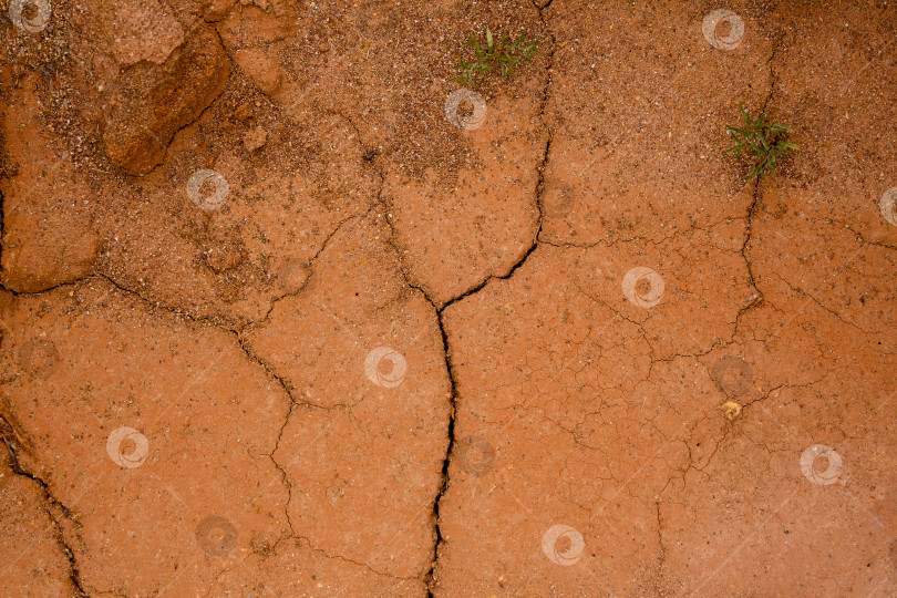 Скачать Естественная текстура. Сухая глинистая почва с трещинами, глина фотосток Ozero