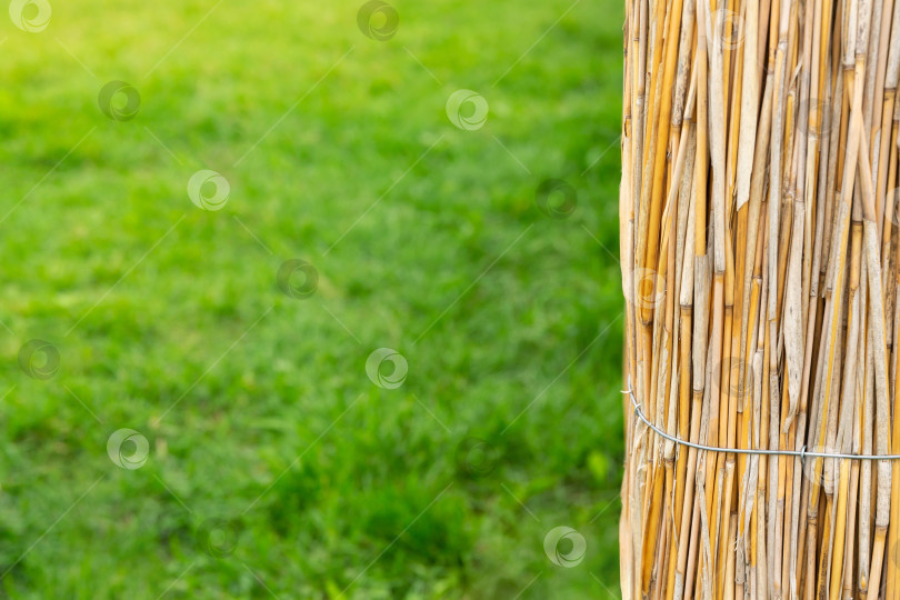 Скачать Забор из сухих бамбуковых стеблей на фоне зеленой искусственной газонной травы. Шаблон для размещения товаров или текста фотосток Ozero