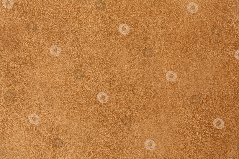 Скачать естественный фон и текстура, шкура животного крупным планом фотосток Ozero