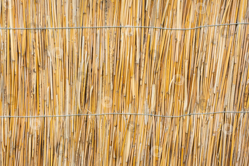 Скачать Плетень или изгородь из сухих веток фотосток Ozero