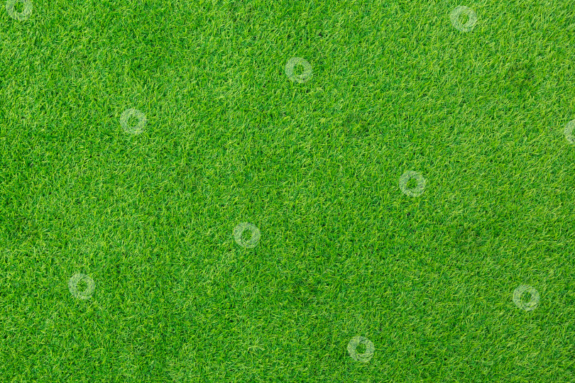 Скачать Естественный фон и текстура. Искусственная вечнозеленая газонная трава фотосток Ozero
