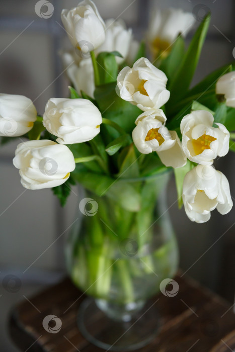 Скачать ваза с букетом цветов белые тюльпаны фотосток Ozero