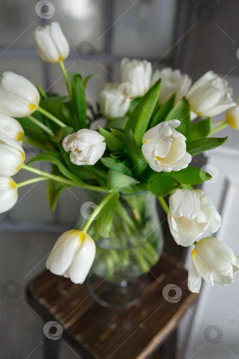 Скачать ваза с букетом цветов белые тюльпаны фотосток Ozero