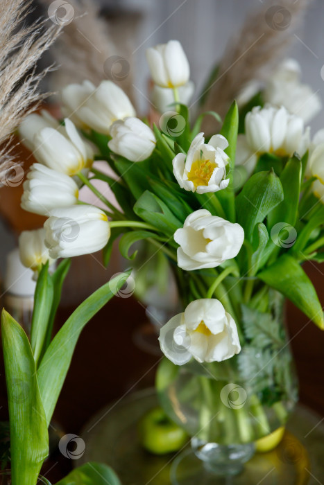 Скачать букет белых тюльпанов крупным планом фотосток Ozero