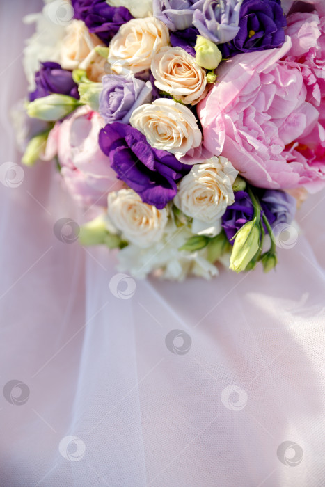 Скачать Розовые бычки из пионов на розовом фоне фотосток Ozero