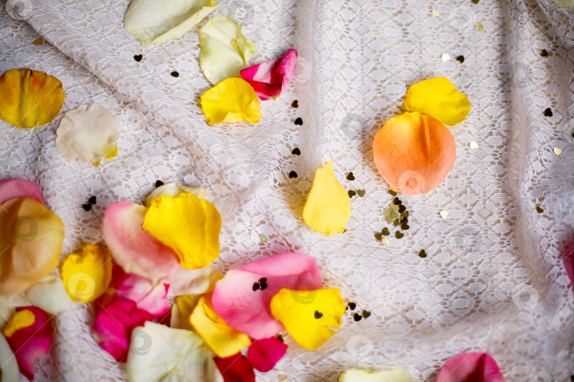 Скачать лепестки роз и конфетти рассыпаны по ажурной белой ткани фотосток Ozero