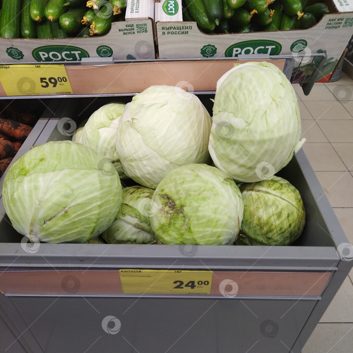 Скачать Отдел капусты в магазине "Чижик". фотосток Ozero
