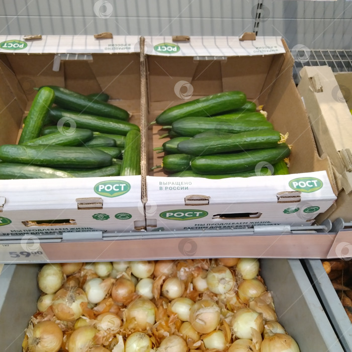 Скачать Отдел огурцов в магазине "Чижик". фотосток Ozero