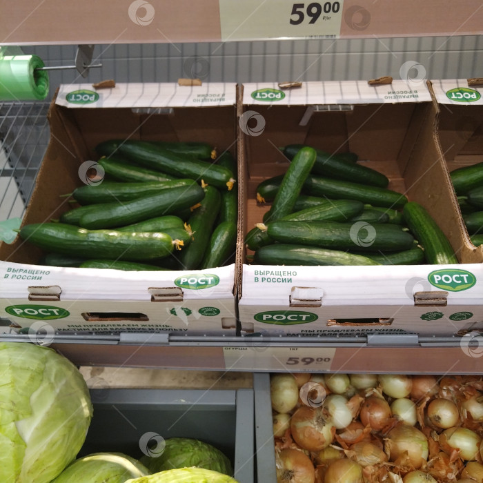 Скачать Отдел огурцов в магазине "Чижик". фотосток Ozero