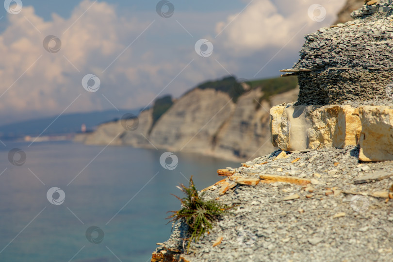 Скачать Курорт Геленджик, пляж Сосновка. Черное море. Высокая белая скала, на вершине которой растут сосны. Пляж у подножия скалы. Маяк на заднем плане фотосток Ozero