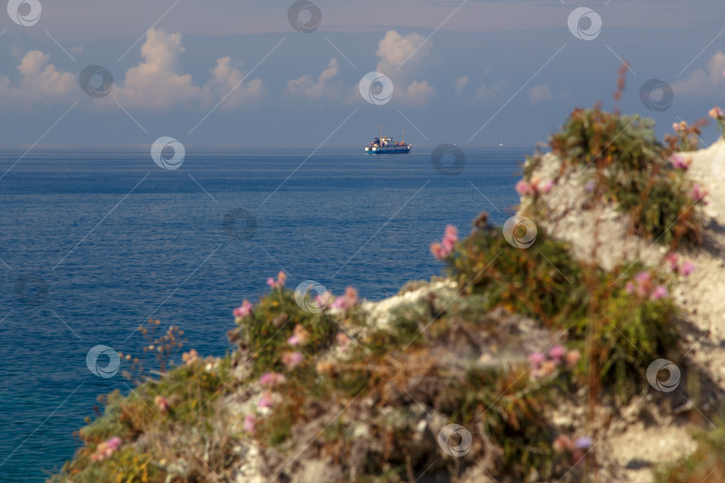 Скачать Большая белая моторная яхта стоит у крутого высокого скалистого берега. На вершине скалы растут сосны. Геленджик, Черное море. Спокойное, гладкое море фотосток Ozero