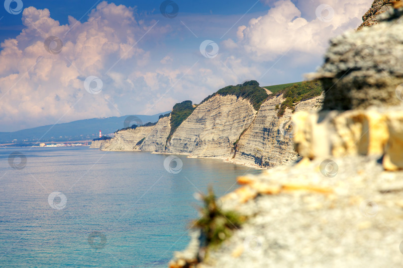 Скачать Курорт Геленджик, пляж Сосновка. Черное море. Высокая белая скала, на вершине которой растут сосны. Пляж у подножия скалы. Маяк на заднем плане фотосток Ozero
