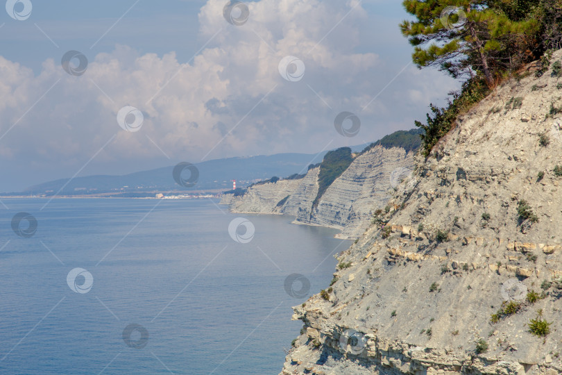 Скачать Курорт Геленджик, пляж Сосновка. Черное море. Высокая белая скала, на вершине которой растут сосны. Пляж у подножия скалы. Маяк на заднем плане фотосток Ozero