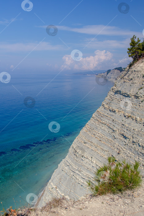 Скачать Курорт Геленджик, пляж Сосновка. Черное море. Высокая белая скала, на вершине которой растут сосны. Пляж у подножия скалы. Маяк на заднем плане фотосток Ozero