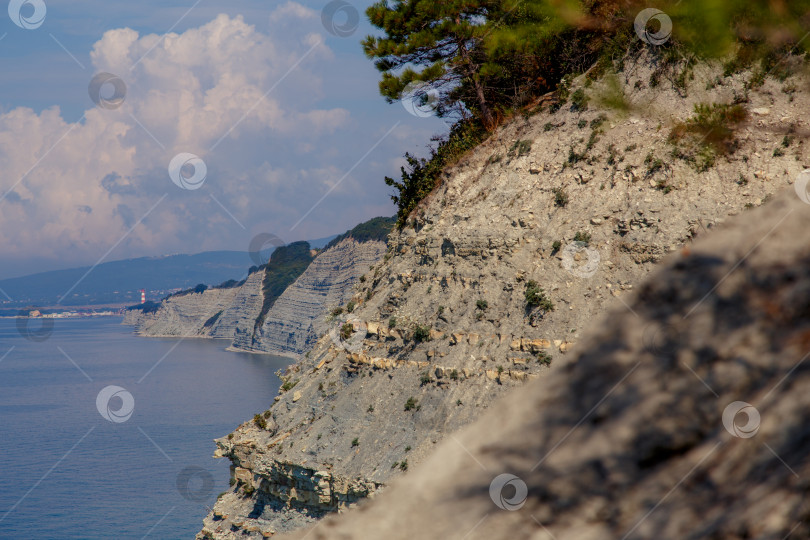 Скачать Курорт Геленджик, пляж Сосновка. Черное море. Высокая белая скала, на вершине которой растут сосны. Пляж у подножия скалы. Маяк на заднем плане фотосток Ozero