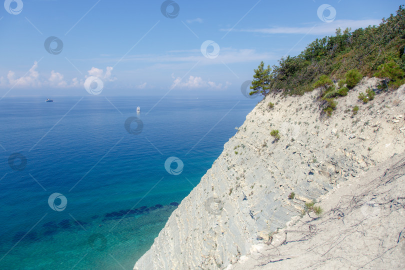 Скачать Большая белая моторная яхта стоит у крутого высокого скалистого берега. На вершине скалы растут сосны. Геленджик, Черное море. Спокойное, гладкое море фотосток Ozero