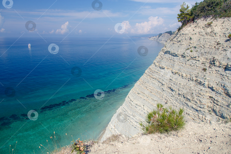 Скачать Курорт Геленджик, пляж Сосновка. Черное море. Высокая белая скала, на вершине которой растут сосны. Пляж у подножия скалы. Маяк на заднем плане фотосток Ozero