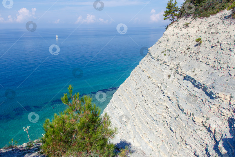 Скачать Большая белая моторная яхта стоит у крутого высокого скалистого берега. На вершине скалы растут сосны. Геленджик, Черное море. Спокойное, гладкое море фотосток Ozero