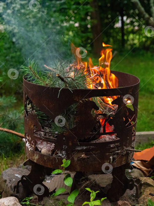 Скачать Сцена с кострищем на заднем дворе в деревенском стиле фотосток Ozero