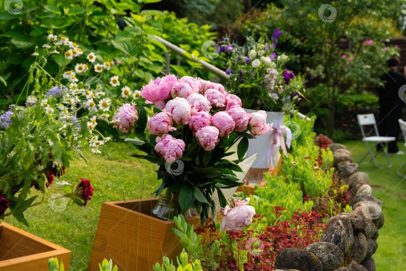 Скачать Яркий сад с розовыми пионами фотосток Ozero