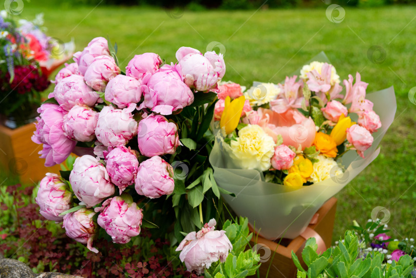 Скачать Яркая цветочная композиция в саду фотосток Ozero